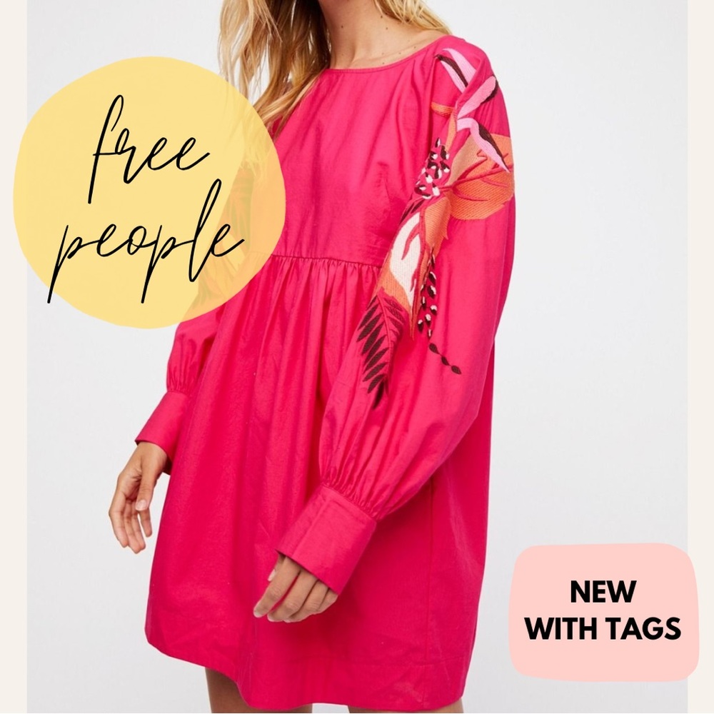 Free People Embroidered Mini Dress, Large, NEW with tags